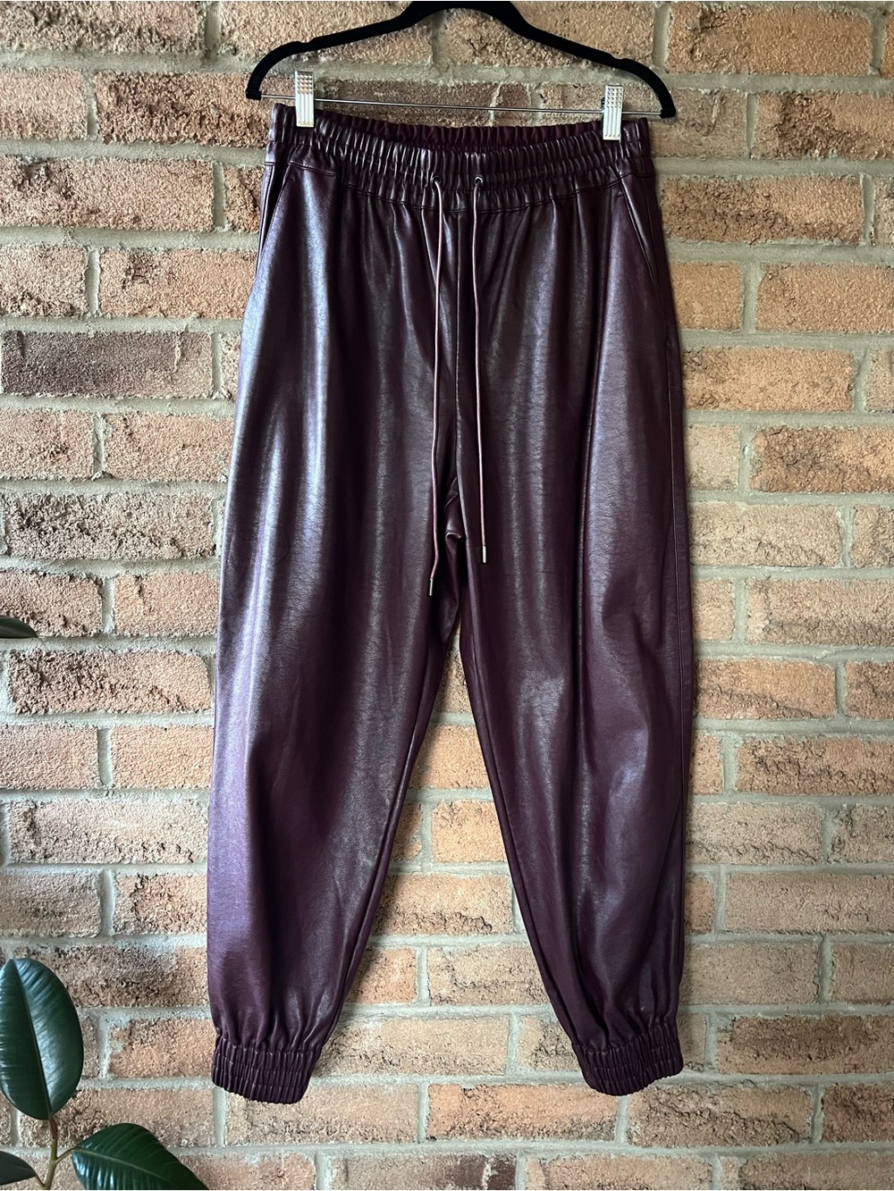 Dynamite Sacha Burgundy Faux Leather Jogger Pants High Rise Drawstring